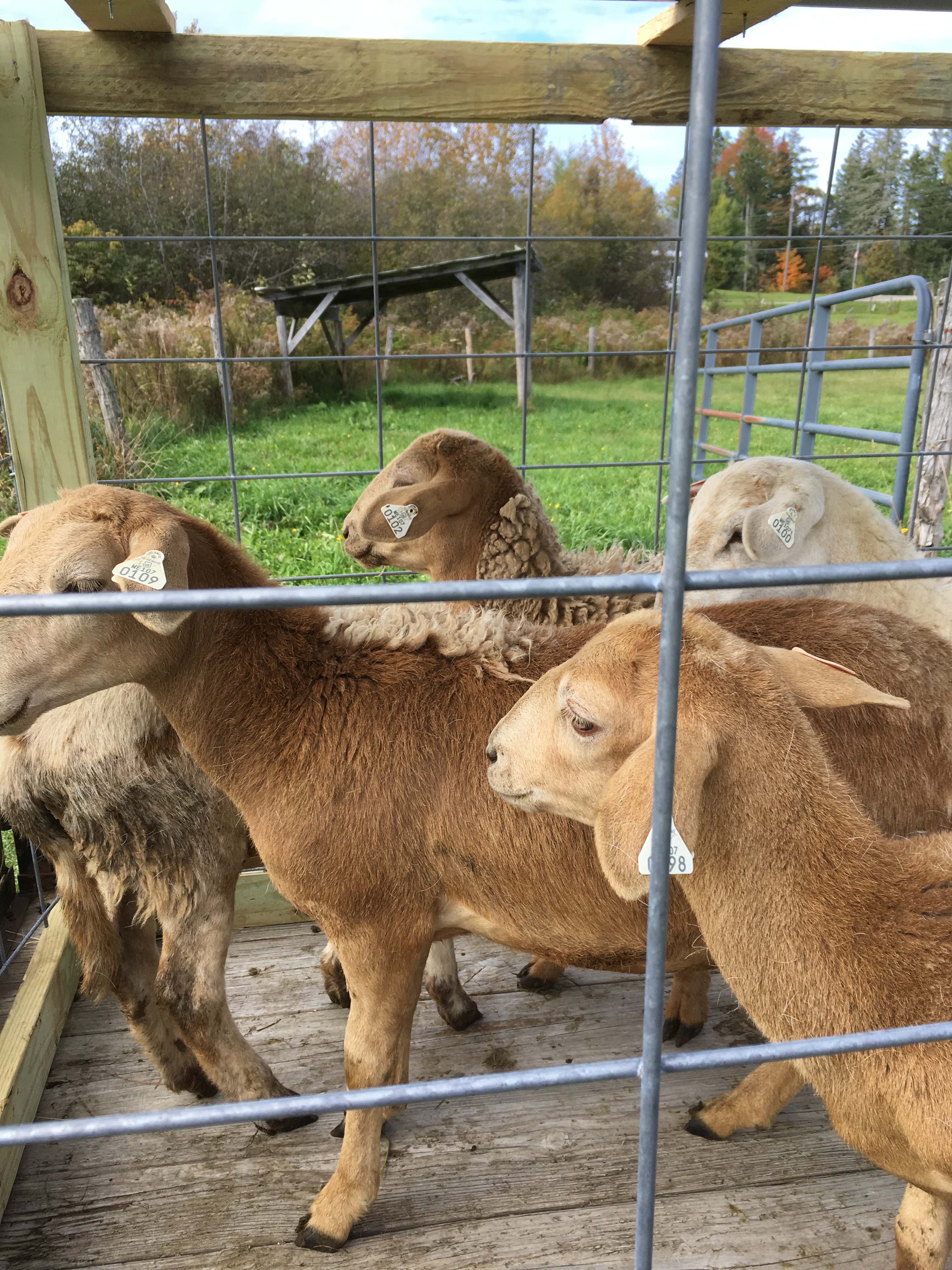 6384BD39-CD57-43BC-A656-04F6E9197D43