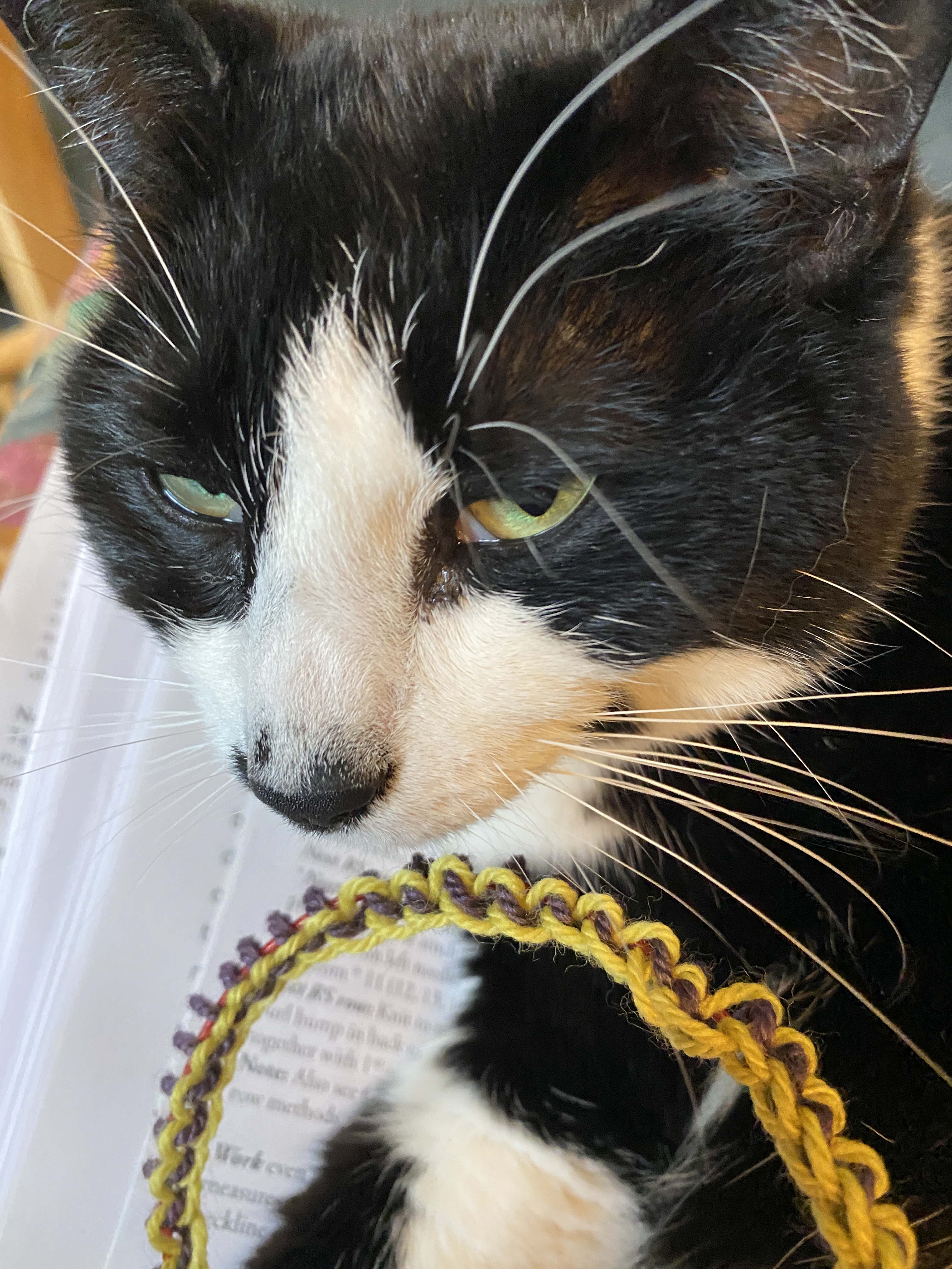 8c481e10-da89-4d94-b60b-1e4ff2a6f546